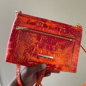 Brahmin Purse